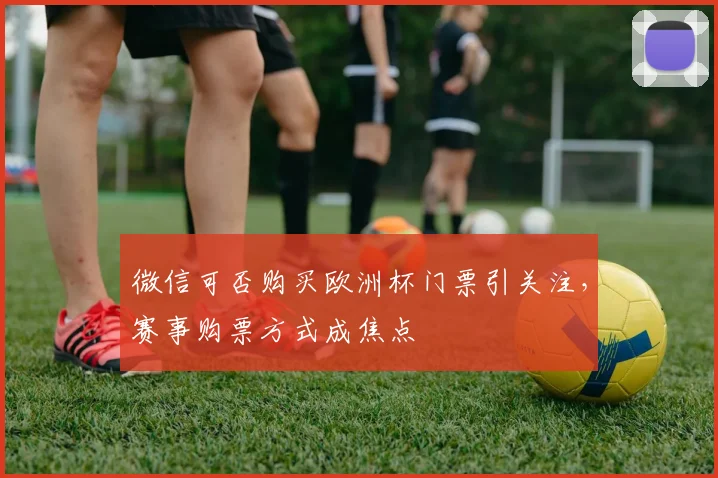 微信可否购买欧洲杯门票引关注,赛事购票方式成焦点