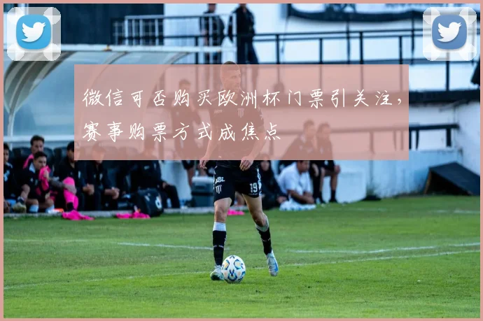 微信可否购买欧洲杯门票引关注,赛事购票方式成焦点
