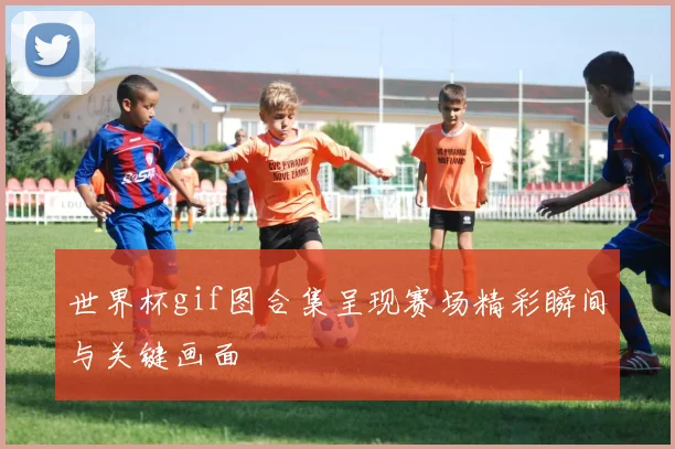 世界杯gif图合集呈现赛场精彩瞬间与关键画面